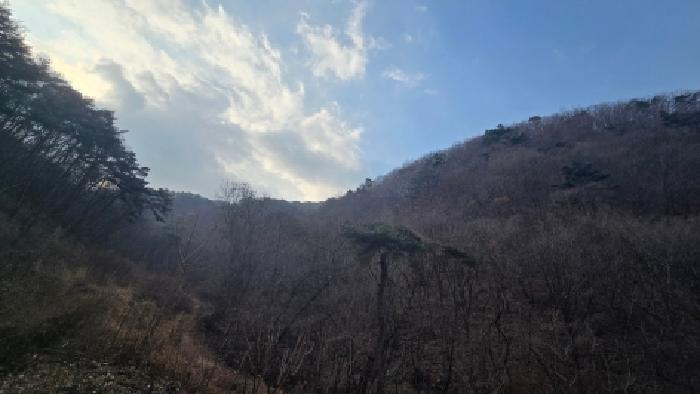 울산 울주군 웅촌면 임야 경매 물건 사진 2 · 2025타경1578
