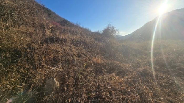 경남 양산시 원동면 상가,오피스텔,근린시설 경매 물건 사진 4 · 2025타경1586