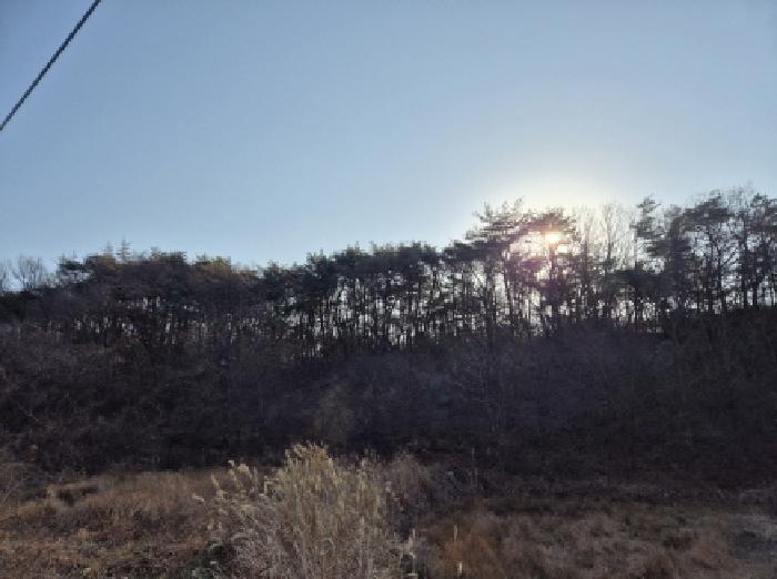 울산 북구 무룡동 임야 경매 물건 사진 3 · 2025타경1591