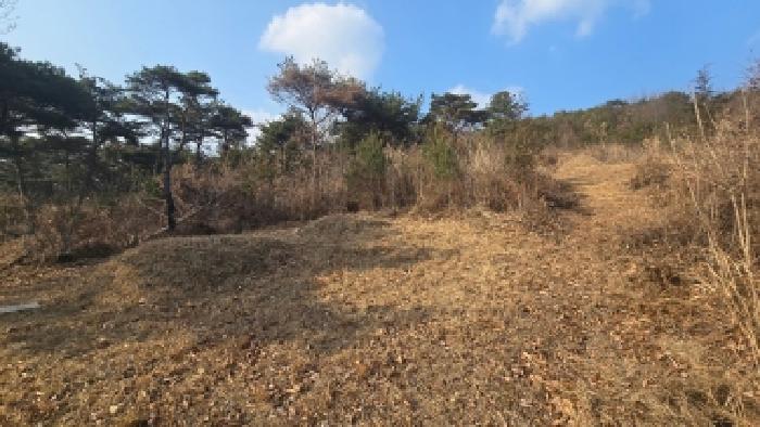 울산 울주군 언양읍 임야 경매 물건 사진 3 · 2025타경1608