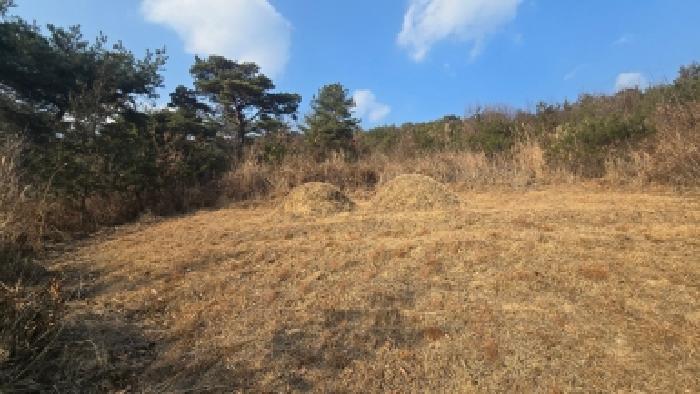 울산 울주군 언양읍 임야 경매 물건 사진 4 · 2025타경1608