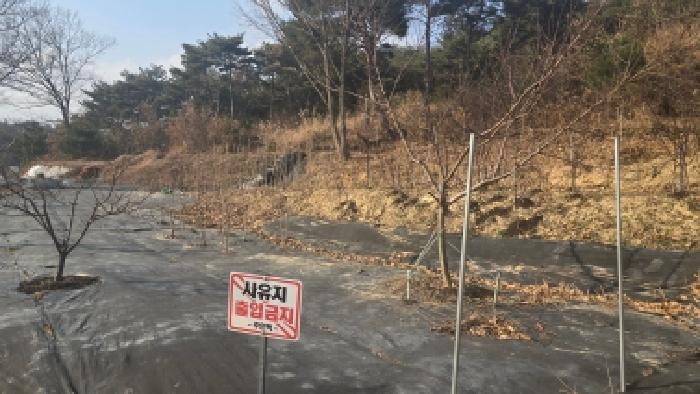 울산 울주군 언양읍 임야 경매 물건 사진