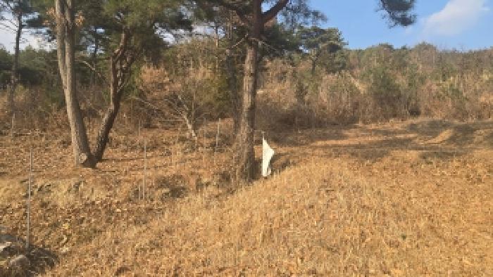울산 울주군 언양읍 임야 경매 물건 사진 2 · 2025타경1608