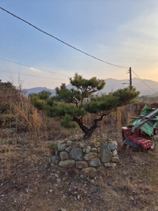 울산 울주군 온양읍 임야 경매 물건 사진 4 · 2025타경1617