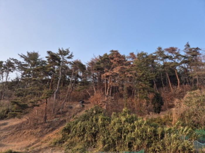 울산 울주군 온양읍 임야 경매 물건 사진 5 · 2025타경1617