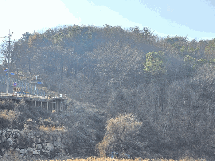울산 울주군 삼남읍 임야 경매 물건 사진 6 · 2025타경1620