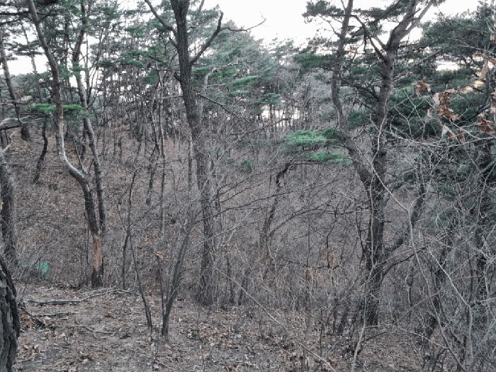 울산 북구 매곡동 임야 경매 물건 사진 4 · 2025타경305