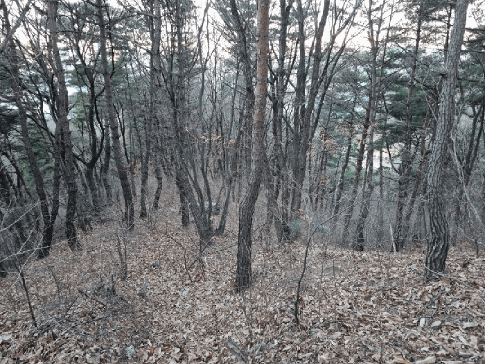 울산 북구 매곡동 임야 경매 물건 사진 5 · 2025타경305