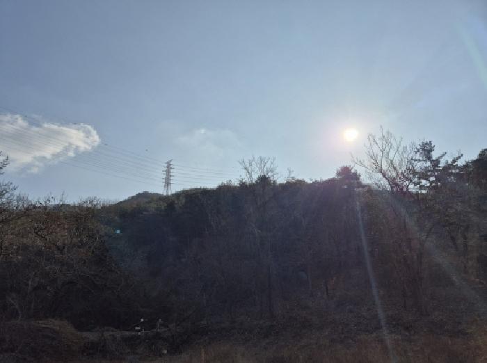 울산 북구 매곡동 임야 경매 물건 사진