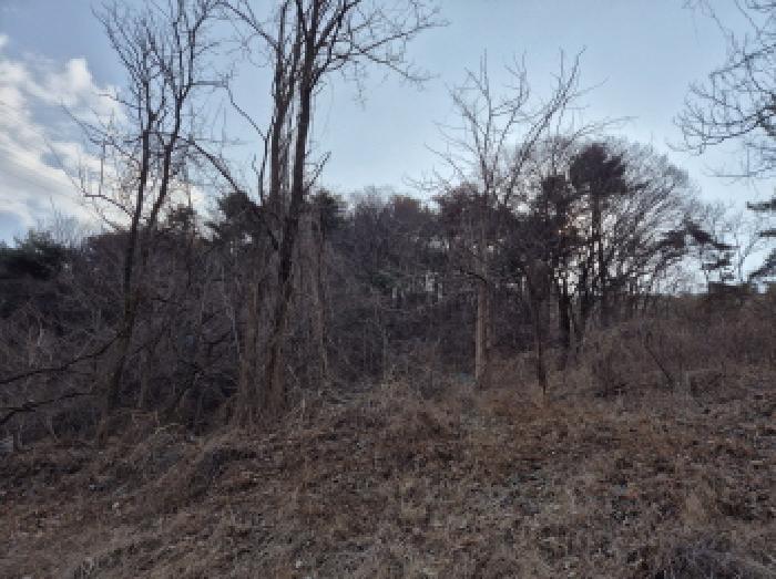 울산 북구 매곡동 임야 경매 물건 사진 2 · 2025타경305