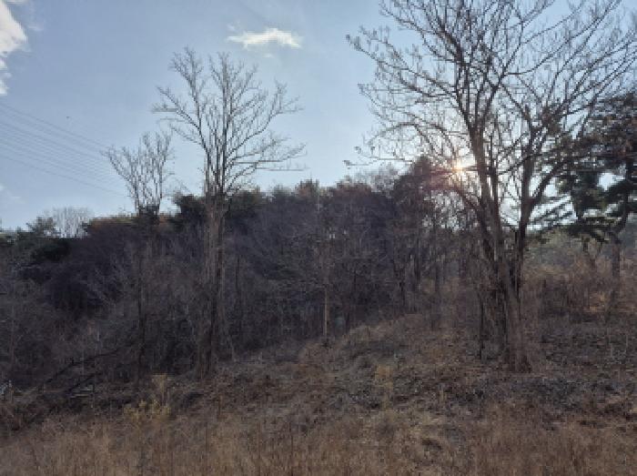 울산 북구 매곡동 임야 경매 물건 사진 3 · 2025타경305