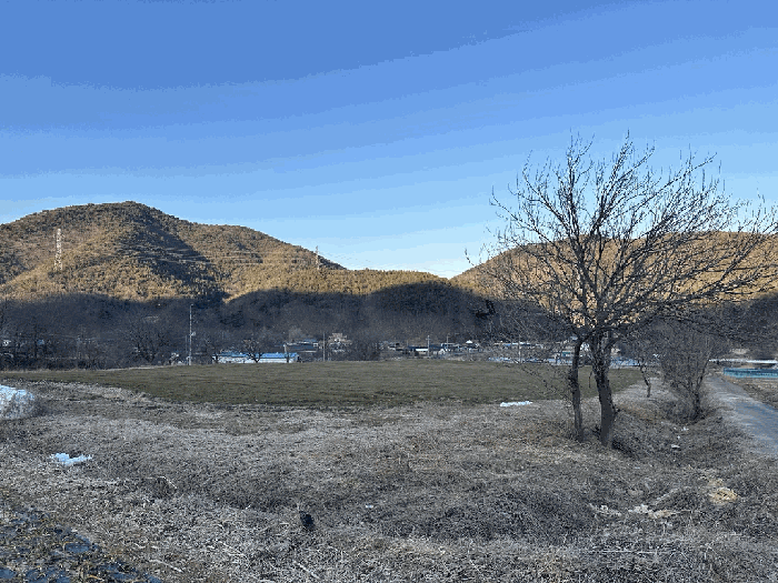 울산 울주군 두서면 전 경매 물건 사진 6 · 2025타경688