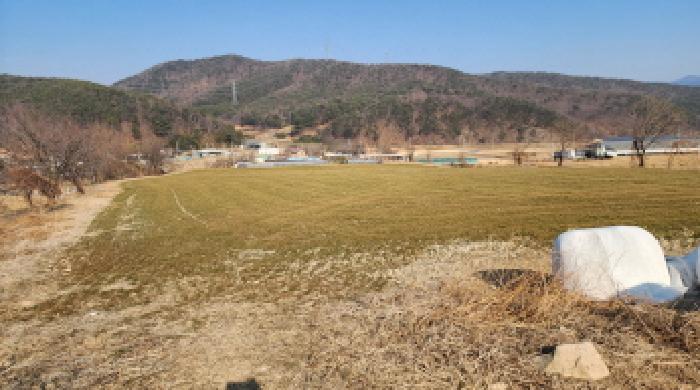 울산 울주군 두서면 전 경매 물건 사진 2 · 2025타경688