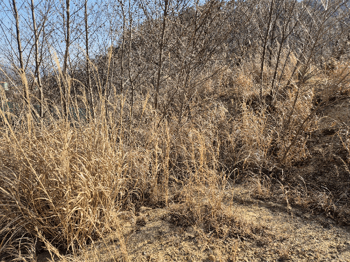 경상남도 양산시 어곡동 1701-1 답 경매 물건 사진