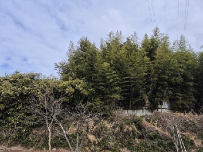 울산 울주군 청량읍 전 경매 물건 사진 2 · 2025타경891