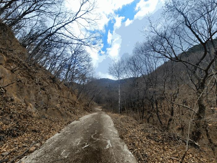 경남 양산시 원동면 임야 경매 물건 사진 6 · 2025타경914
