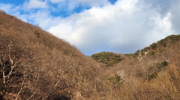 경남 양산시 원동면 임야 경매 물건 사진 2 · 2025타경914