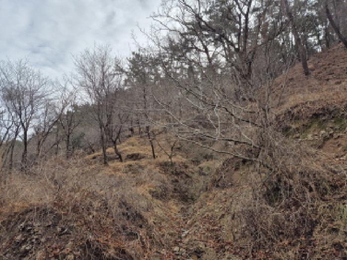 울산 울주군 서생면 답 경매 물건 사진 3 · 2025타경919