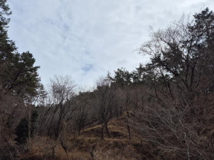 울산 울주군 서생면 답 경매 물건 사진 4 · 2025타경919