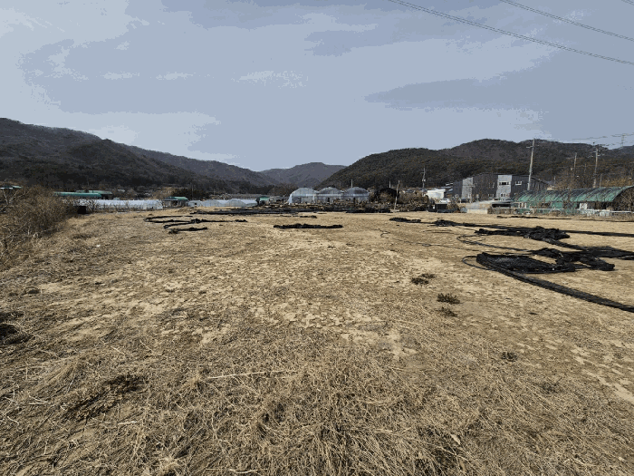 경남 양산시 동면 답 경매 물건 사진 5 · 2025타경958