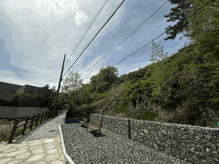 울산광역시 남구 장생포동 산75-1 임야 경매 물건 사진