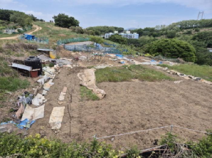 울산 남구 장생포동 전답 경매 물건 사진 3 · 2025타경980