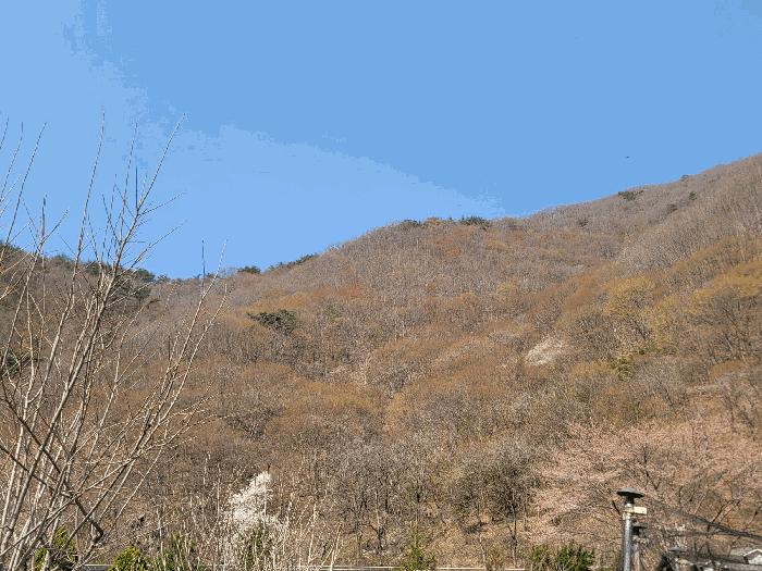 경남 양산시 원동면 대지 경매 물건 사진