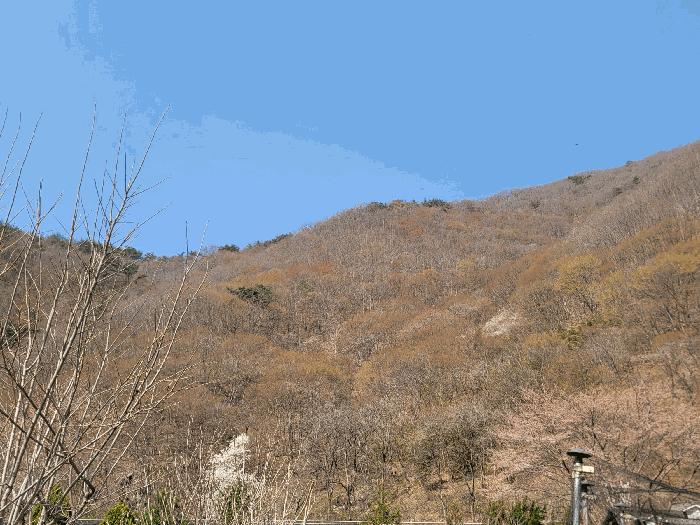 경남 양산시 원동면 대지 경매 물건 사진 3 · 2025타경994