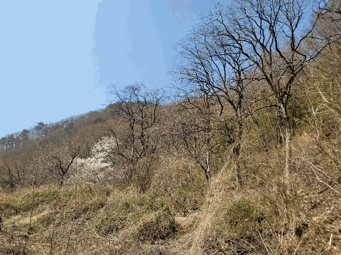 경남 양산시 원동면 대지 경매 물건 사진 2 · 2025타경994