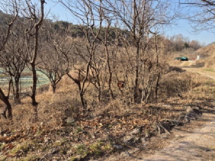 울산 남구 상개동 전답 경매 물건 사진 2 · 2026타경10025