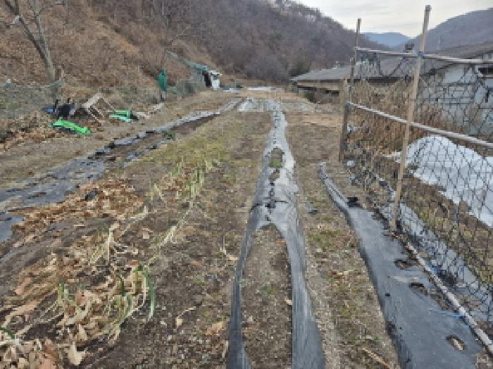 울산 북구 산하동 전답 경매 물건 사진