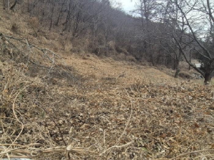울산 북구 산하동 전답 경매 물건 사진 5 · 2026타경10026