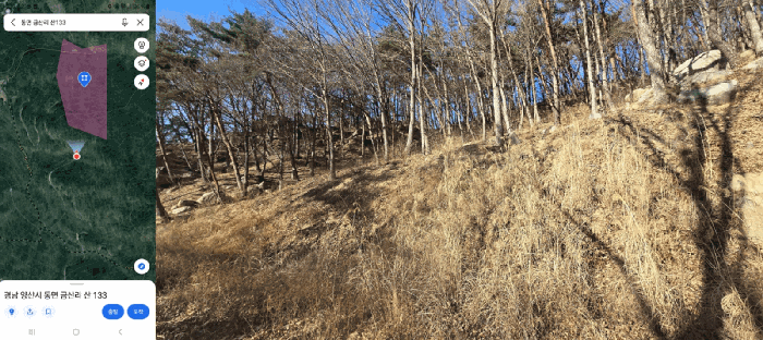 경남 양산시 동면 임야 경매 물건 사진 4 · 2026타경10036