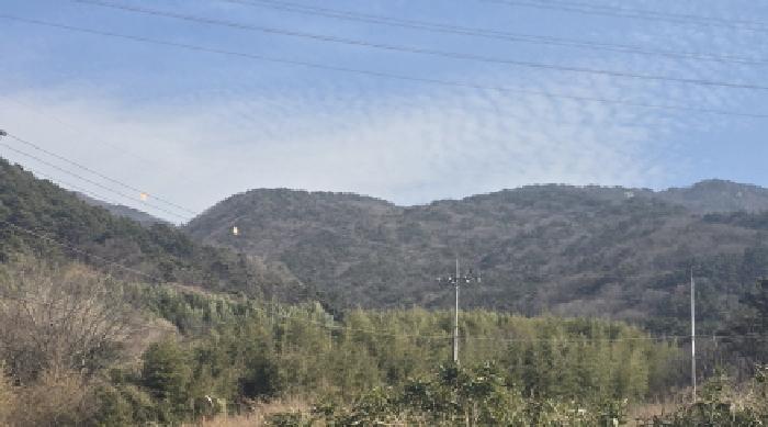 경남 양산시 동면 임야 경매 물건 사진