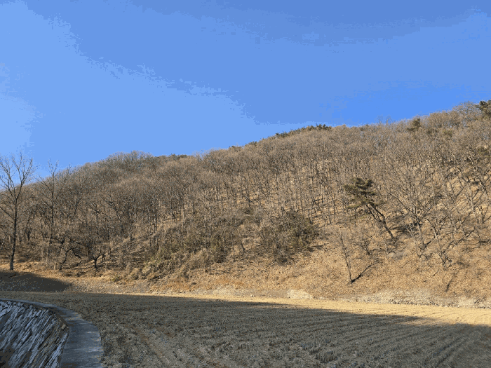 울산 북구 대안동 임야 경매 물건 사진 5 · 2026타경10100