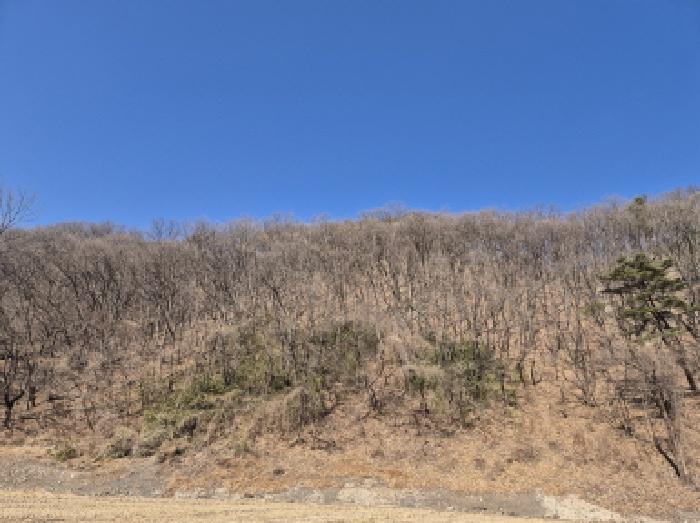 울산 북구 대안동 임야 경매 물건 사진