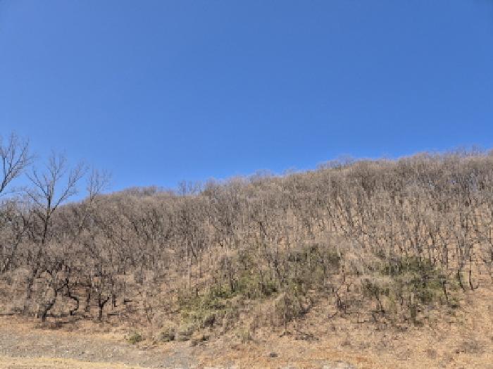 울산 북구 대안동 임야 경매 물건 사진 2 · 2026타경10100