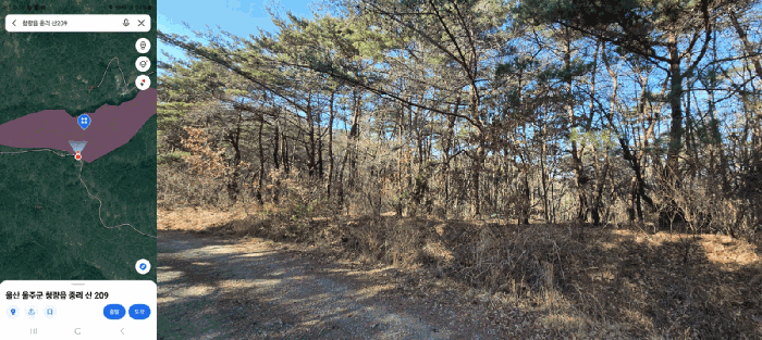 울산 울주군 청량읍 임야 경매 물건 사진 6 · 2026타경10104