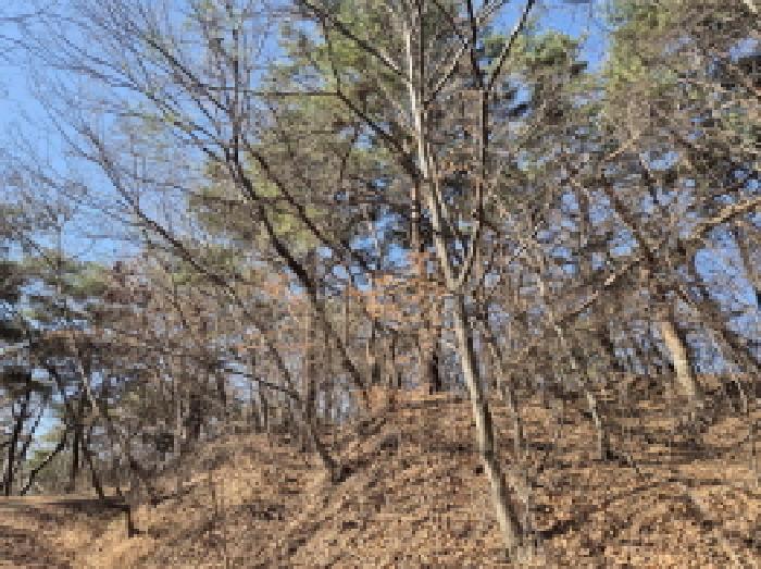 울산 울주군 청량읍 임야 경매 물건 사진 2 · 2026타경10104