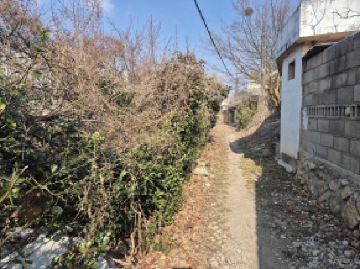 울산 북구 중산동 묘지 경매 물건 사진