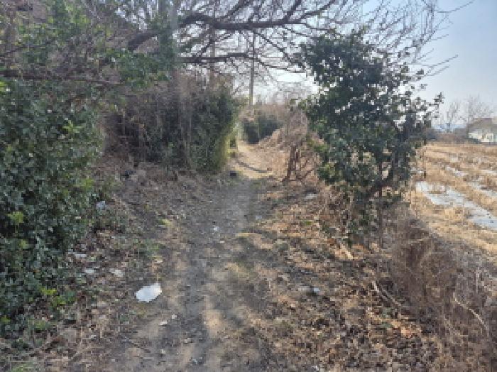 울산 북구 중산동 묘지 경매 물건 사진 2 · 2026타경10114