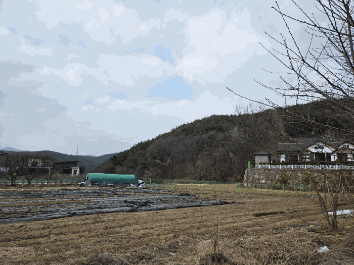 울산 울주군 두동면 임야 경매 물건 사진 5 · 2026타경102