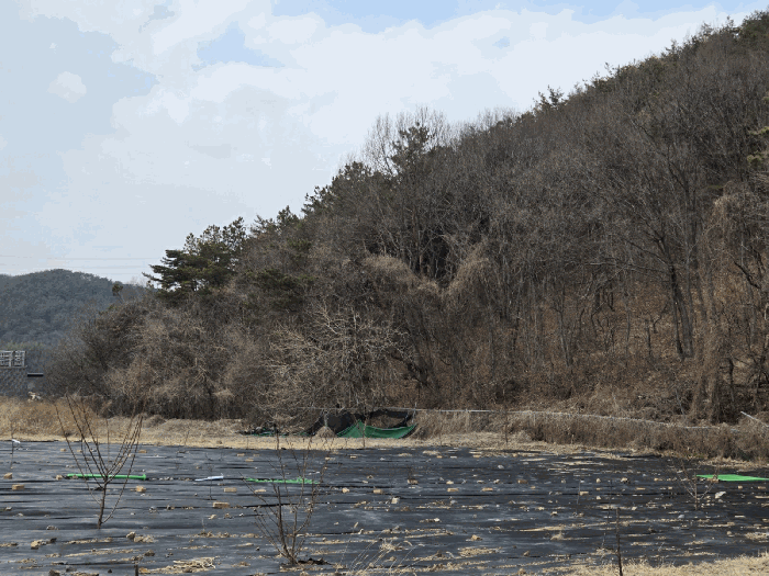 울산 울주군 두동면 임야 경매 물건 사진 6 · 2026타경102