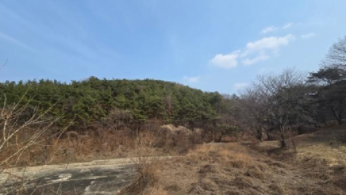 울산 울주군 두동면 임야 경매 물건 사진