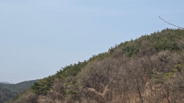 울산 울주군 두동면 임야 경매 물건 사진 2 · 2026타경102