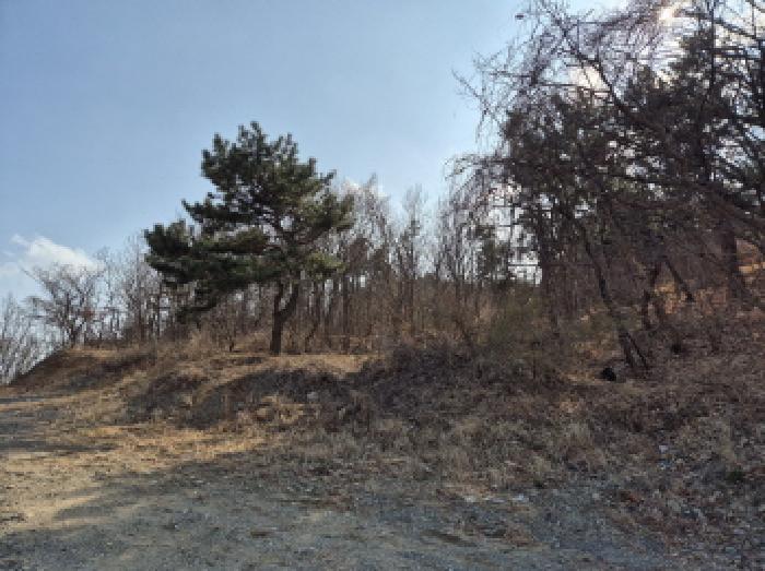 울산 울주군 서생면 임야 경매 물건 사진 2 · 2026타경10305