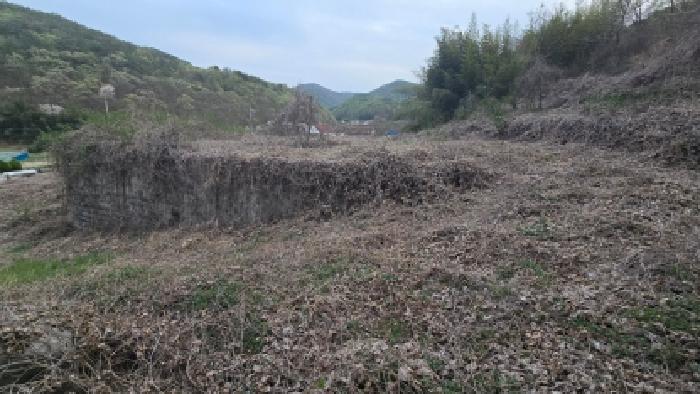 울산 울주군 삼동면 답 경매 물건 사진 6 · 2026타경10375