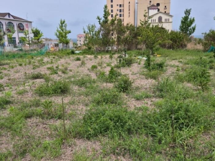 울산 북구 산하동 대지 경매 물건 사진 2 · 2026타경10474