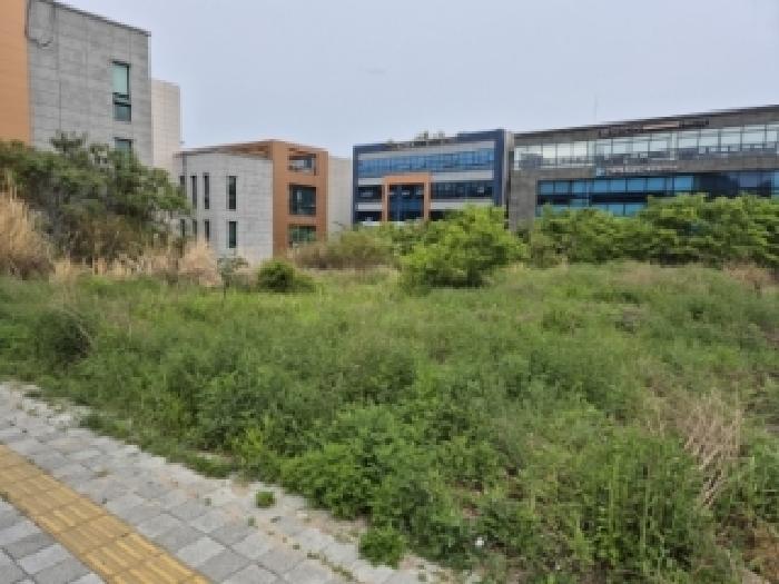 울산 중구 서동 대지,임야,전답 경매 물건 사진