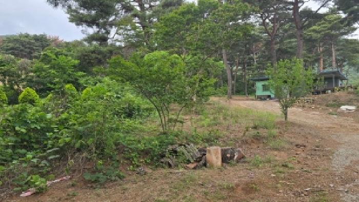 울산 울주군 웅촌면 임야 경매 물건 사진